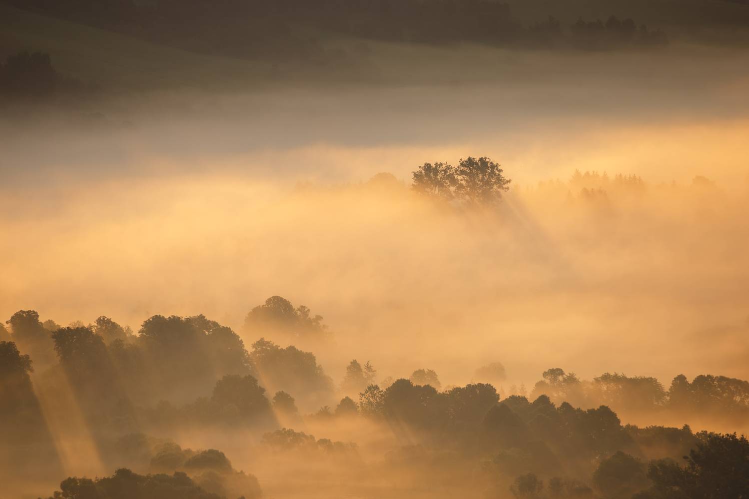 ,  Mirosław Pruchnicki