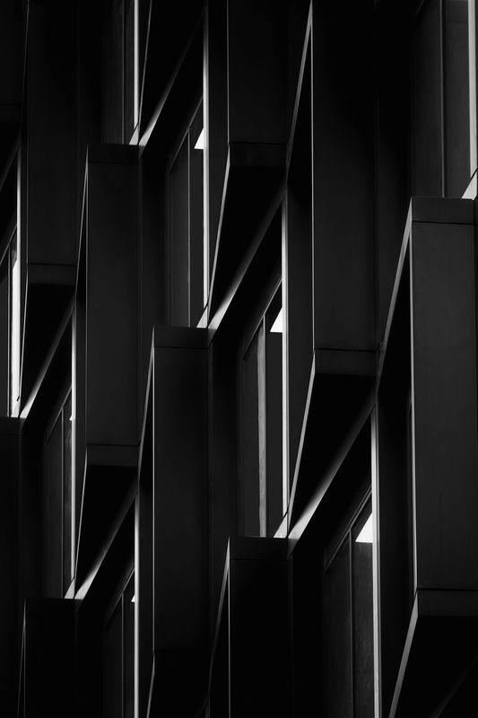 Монохромный силуэт фото превью