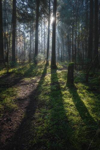 Первые лучи солнца