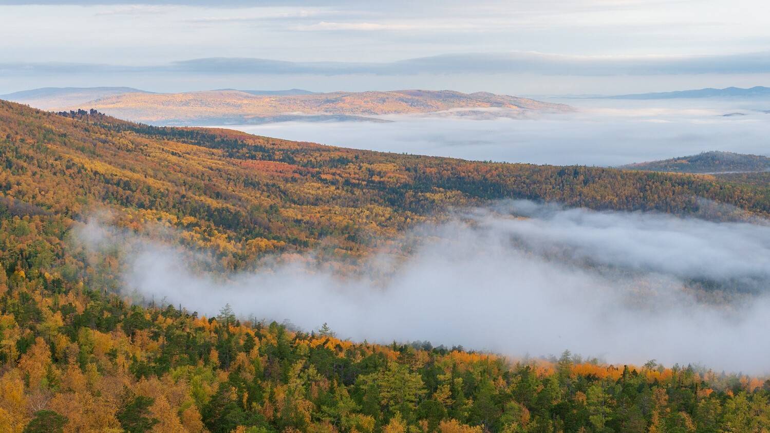 кутурчин осень, Беляев Юрий