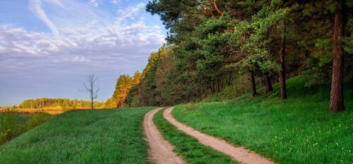 Весна и ландыши