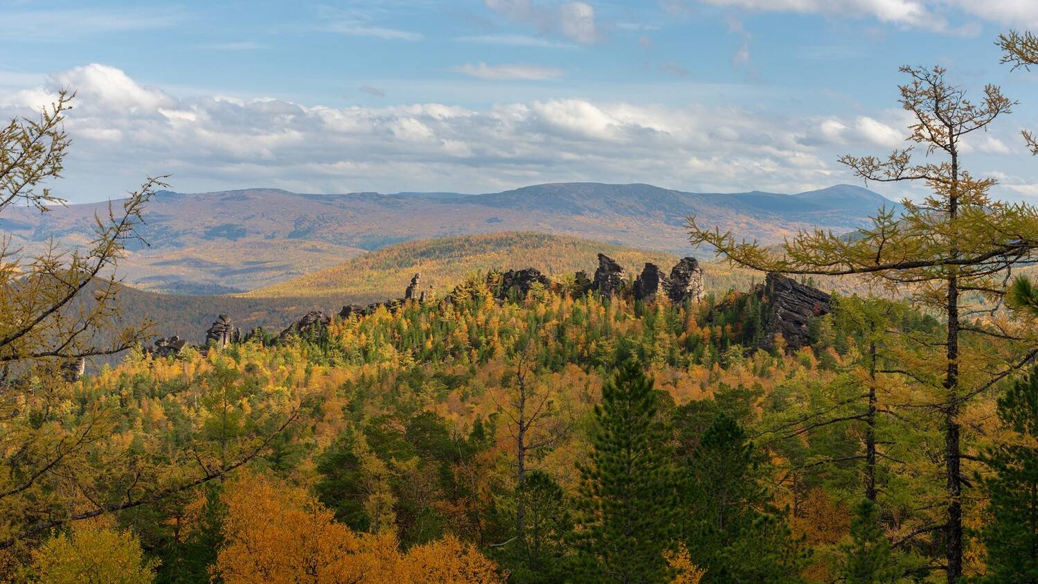 кутурчин осень, Беляев Юрий