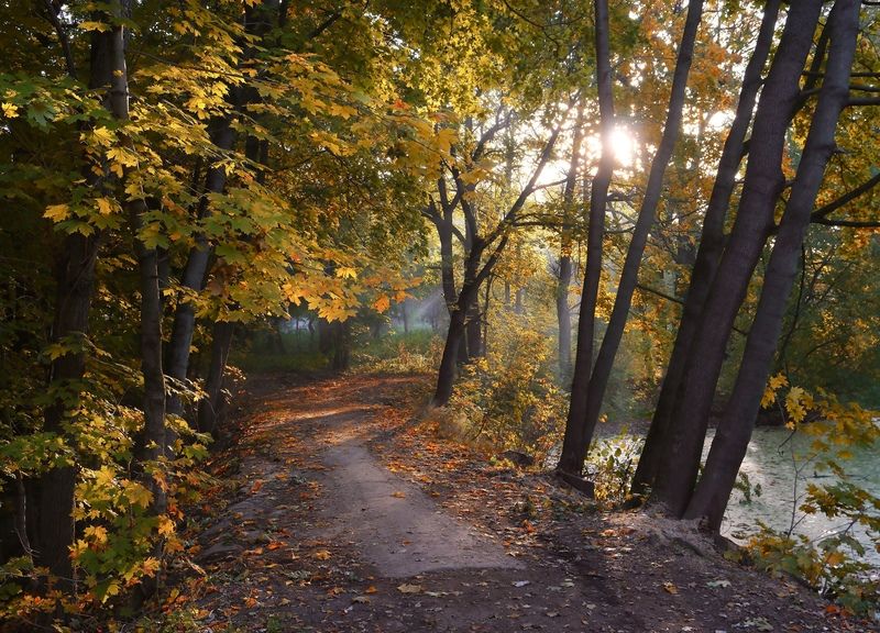 Сказочное утро фото превью