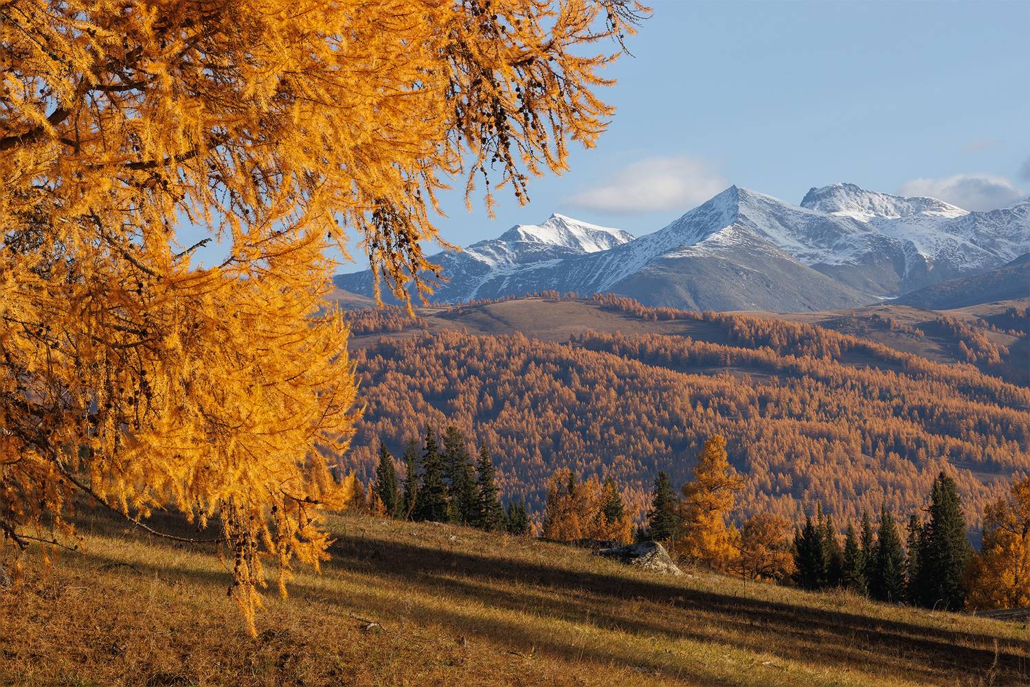 , Морозов Сергей