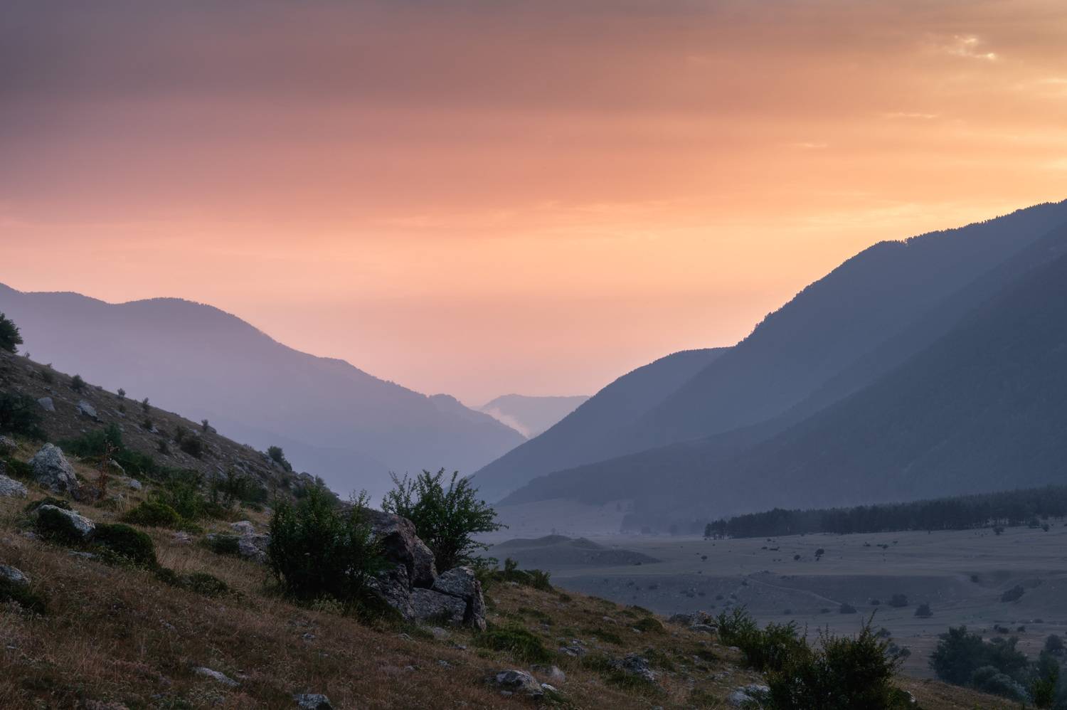 , Алексей Турчин