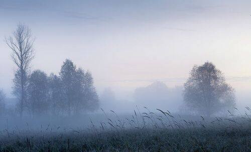 До рассвета