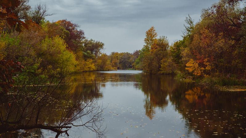 Осень фото превью