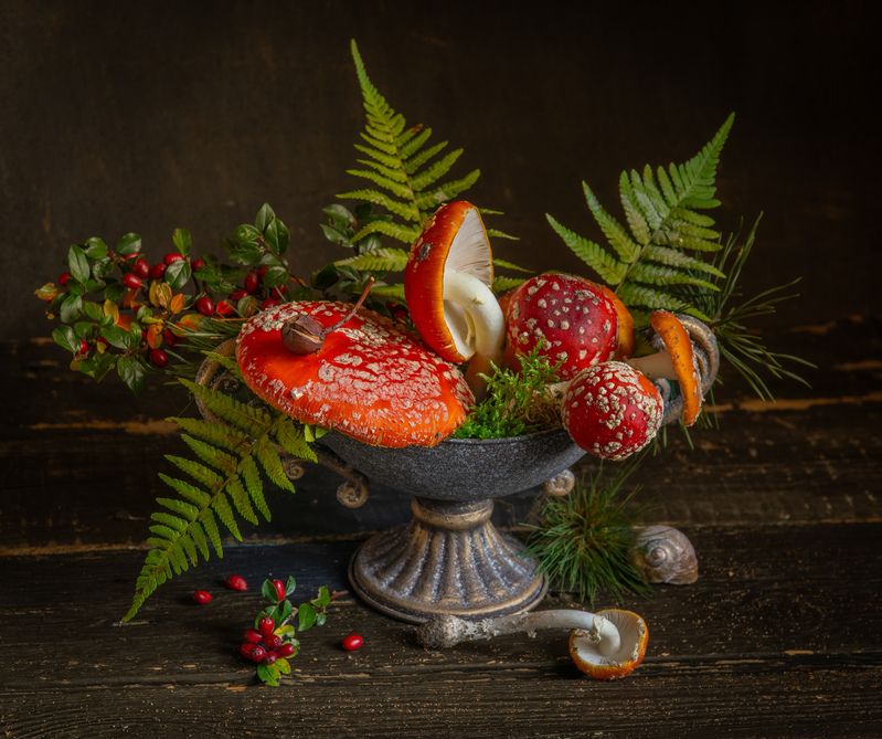 Ведьмин букет фото превью