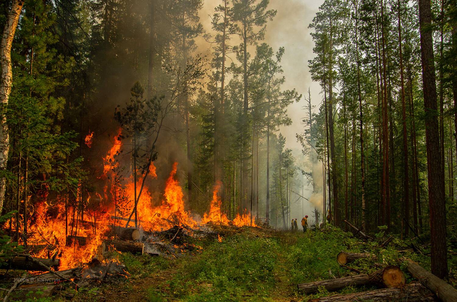 , Капустин Игорь