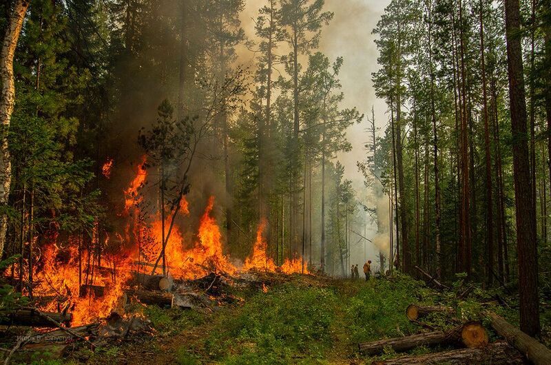 *** фото превью