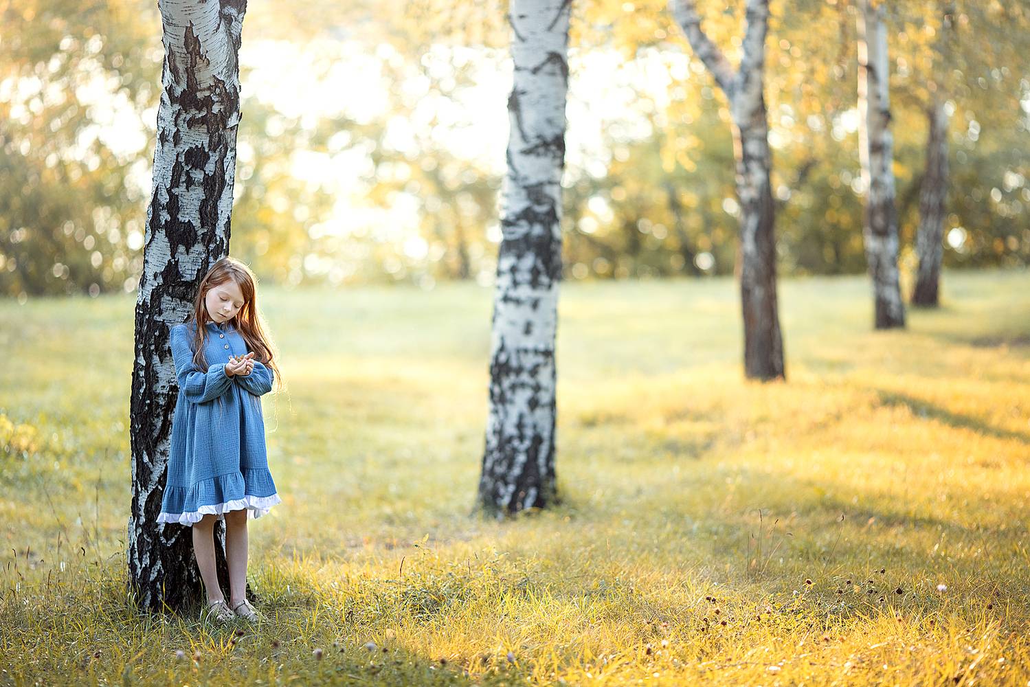 , Солнечный Александр