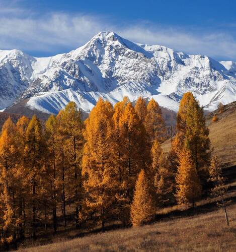 Алтайская осень