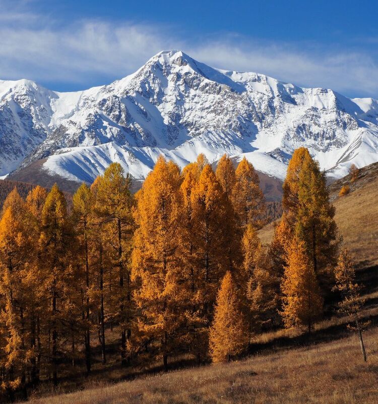 Алтай, Горный Алтай, Республика Алтай Алтайская осень фото превью
