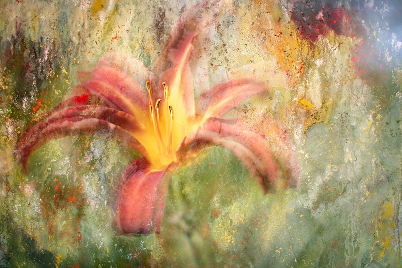 Fantasy of colors фото превью