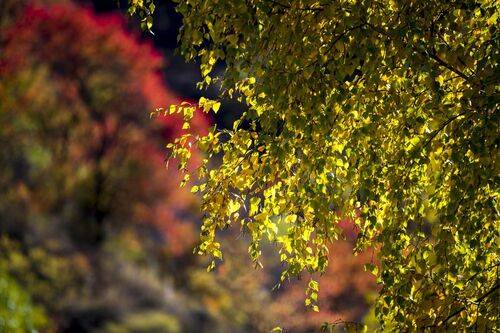 Октябрь в Северном Тянь-Шане
