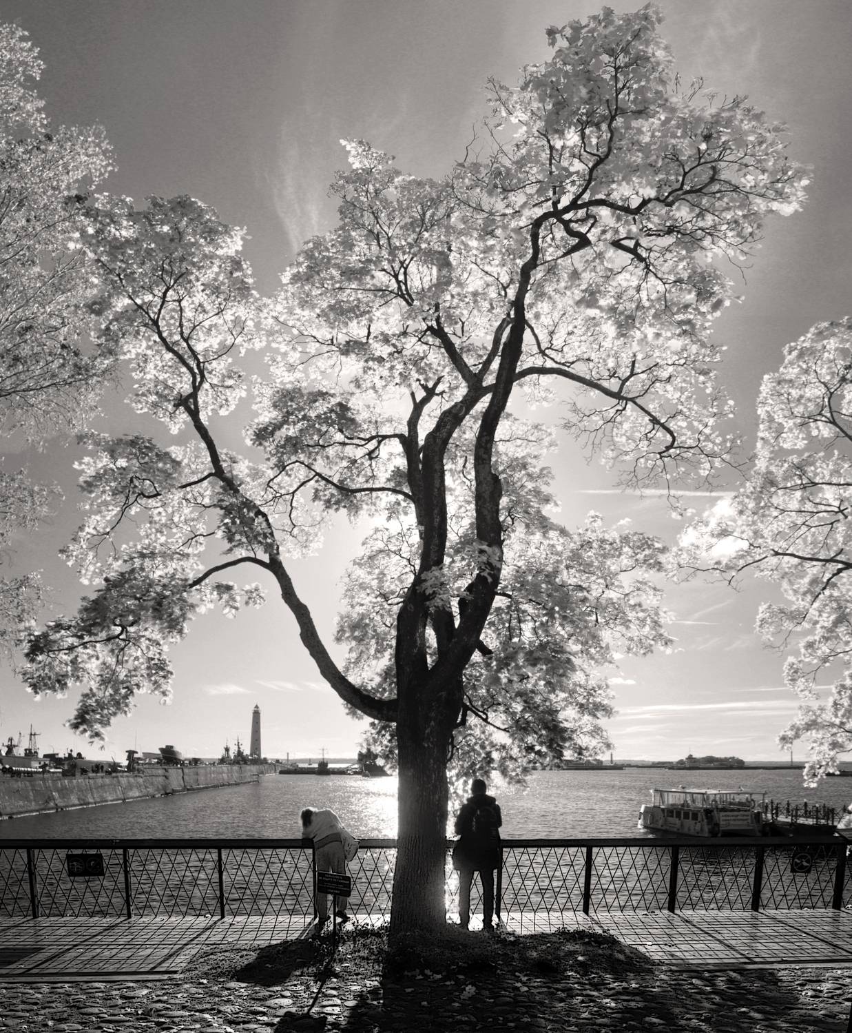 , Сергей Григорьев