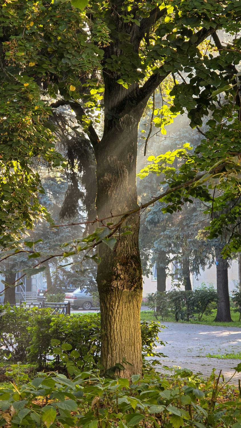 мобильная фотография, Сушкевич Светлана