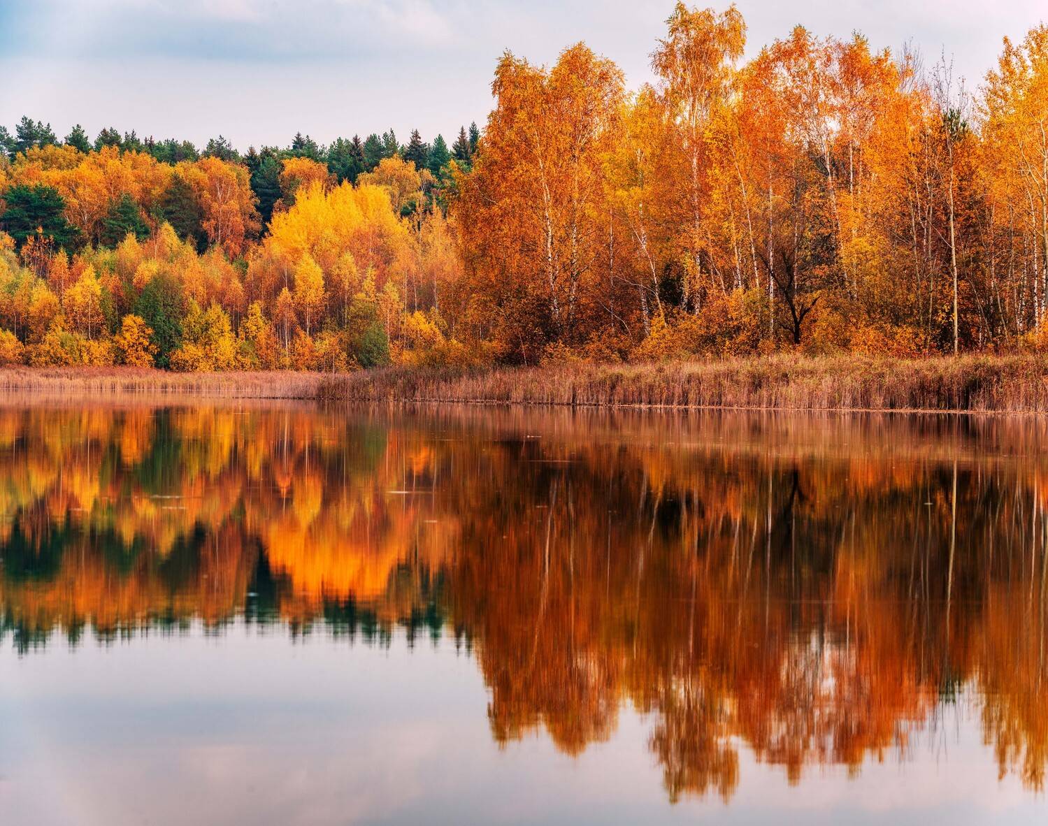 , Павел Ныриков