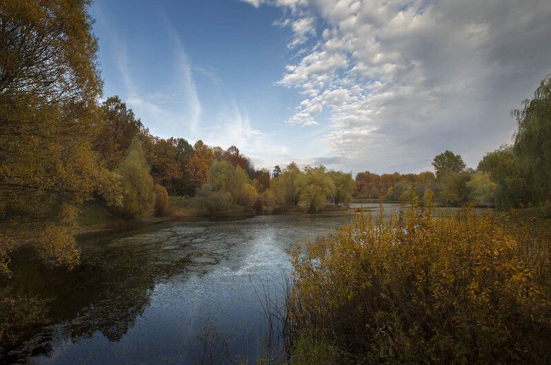 *** фото превью