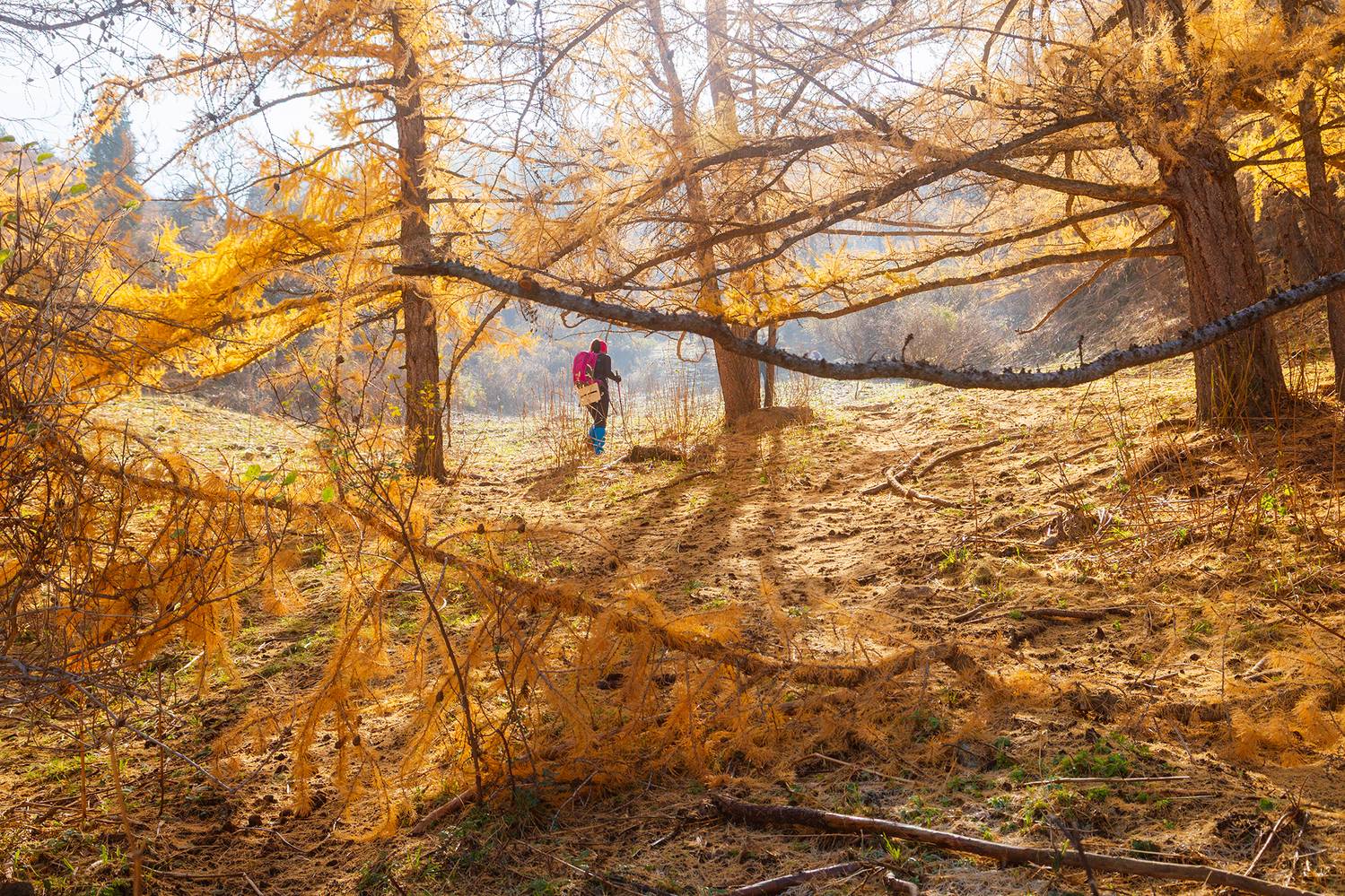 кыргызстан, шамшы, Элина Магалимова