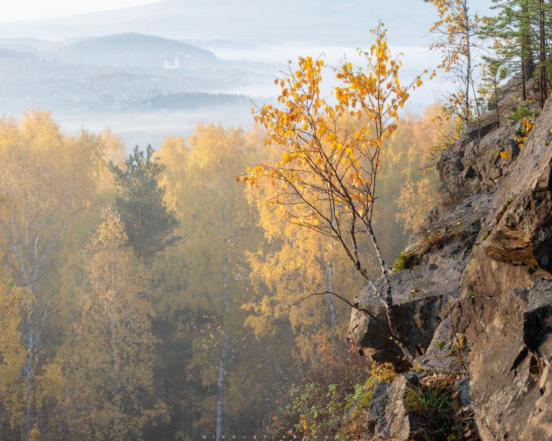 Осеннее утро фото превью