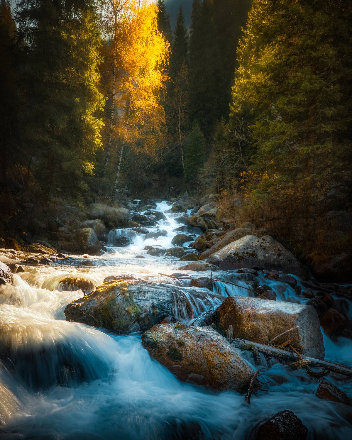 , Купчиков Илья