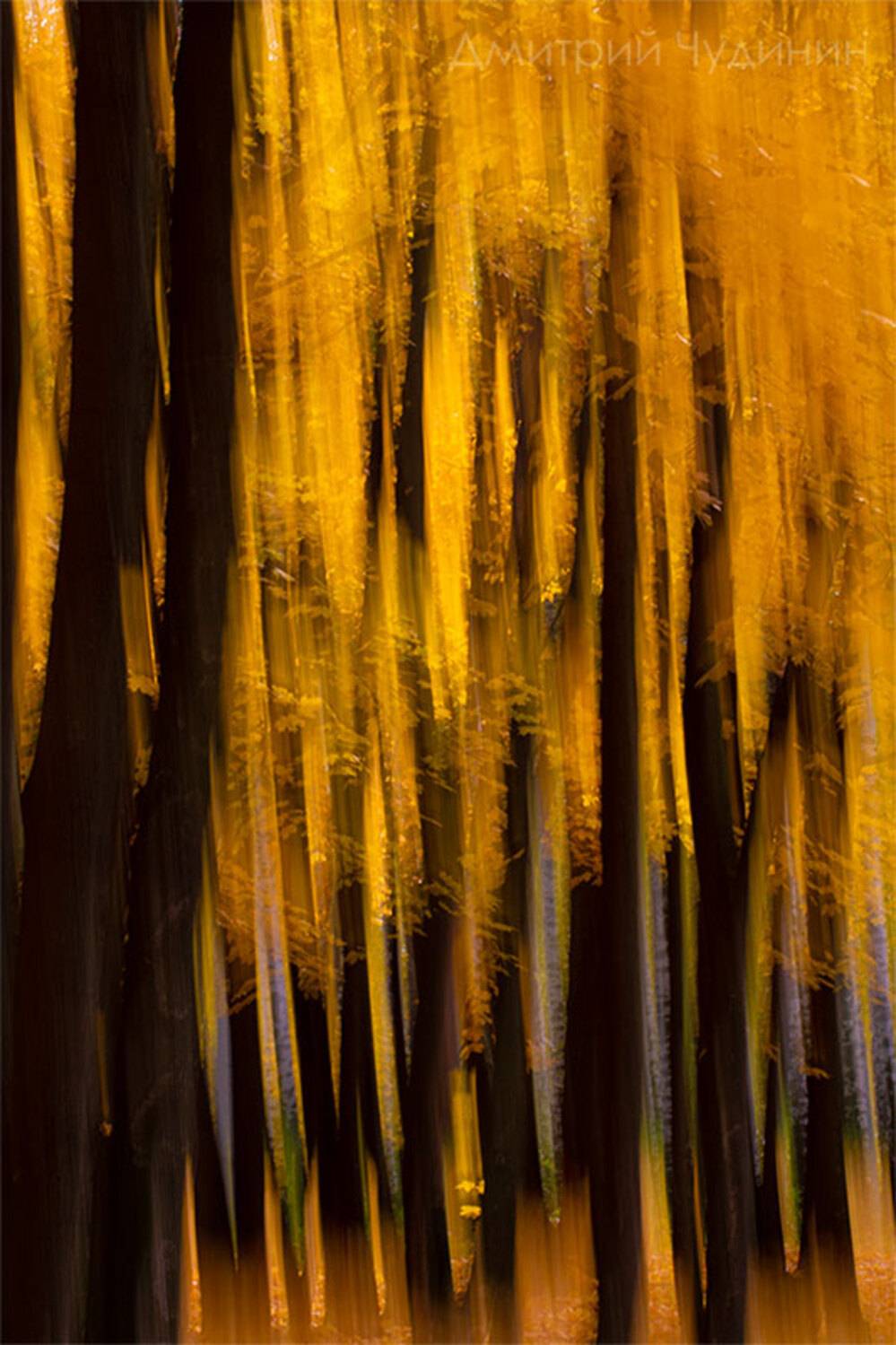 , Чудинин Дмитрий