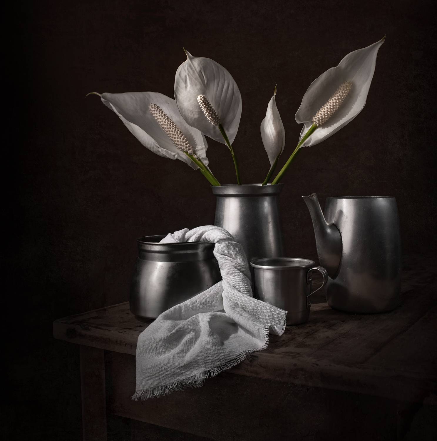 Still life, flowers, light, white, shadow, metal , Maria Margareth Perfoncio