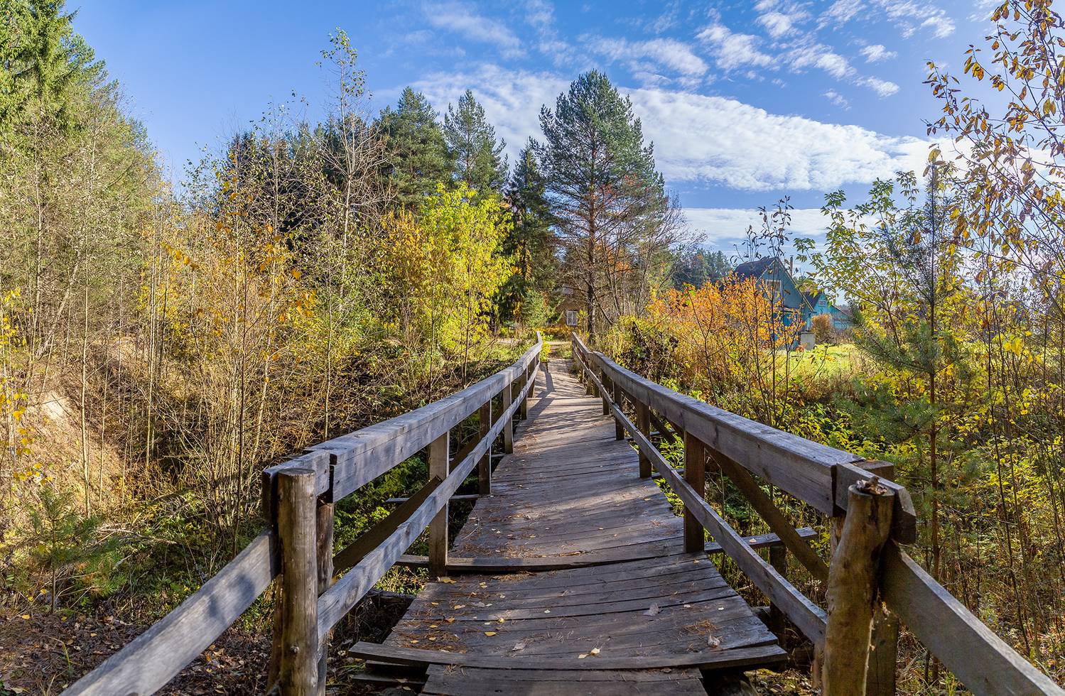 мостик, старость, кривой, осень, Анкудинов Леонид