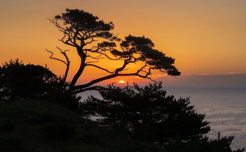 Орлинка, Приморье фото превью