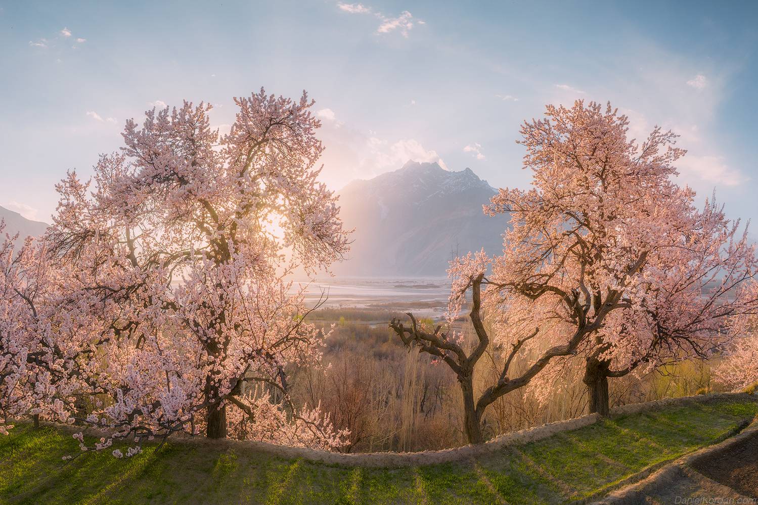 , Даниил Коржонов