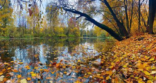 Осень