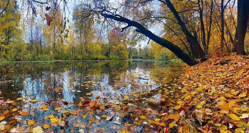 москва, парк, осень Осень фото превью