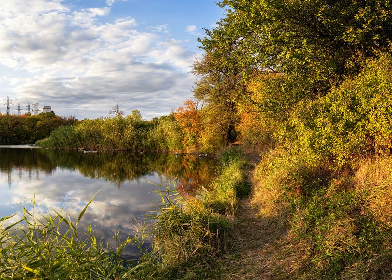 Осенняя тропинка фото превью
