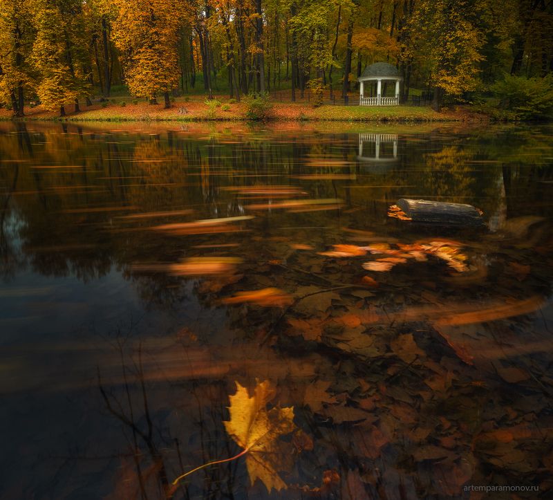 Танец осени фото превью