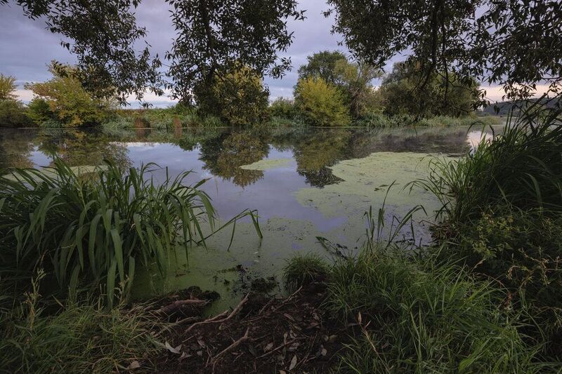 Пасмурное утро. Август фото превью