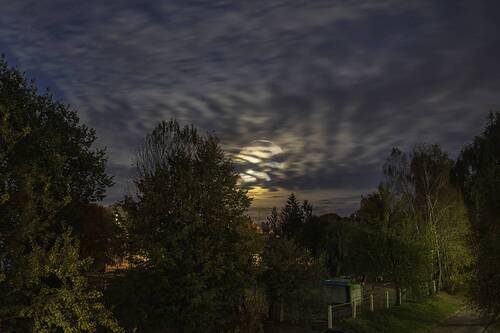 Урожайная Луна