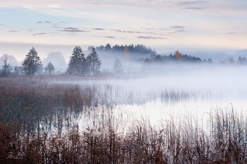 Полосатый ноябрь фото превью