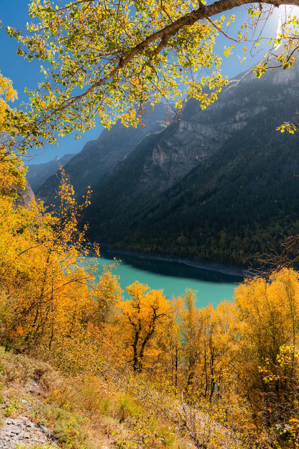 , Руслан Авдевич