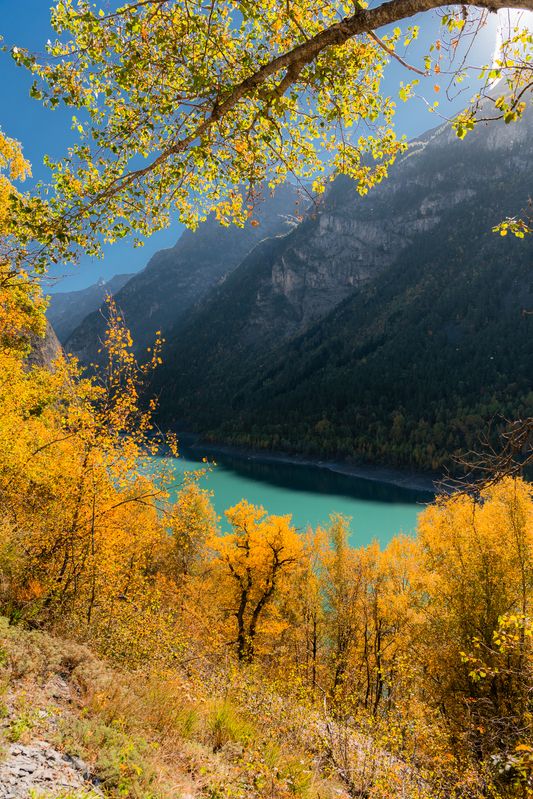 *** фото превью