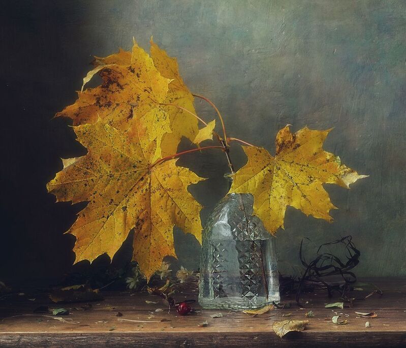 натюрморт,листья,осень,клен осень... фото превью