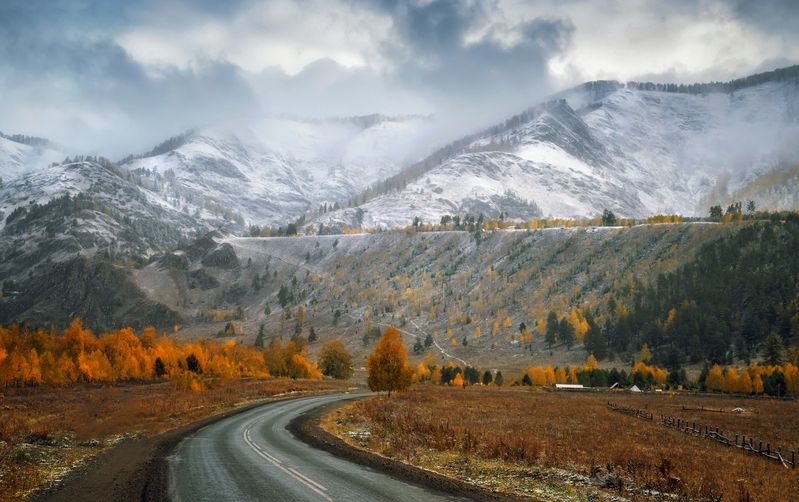горный алтай, конец сентября, дорога, горы, туман, снег По  Чемальскому  тракту... фото превью