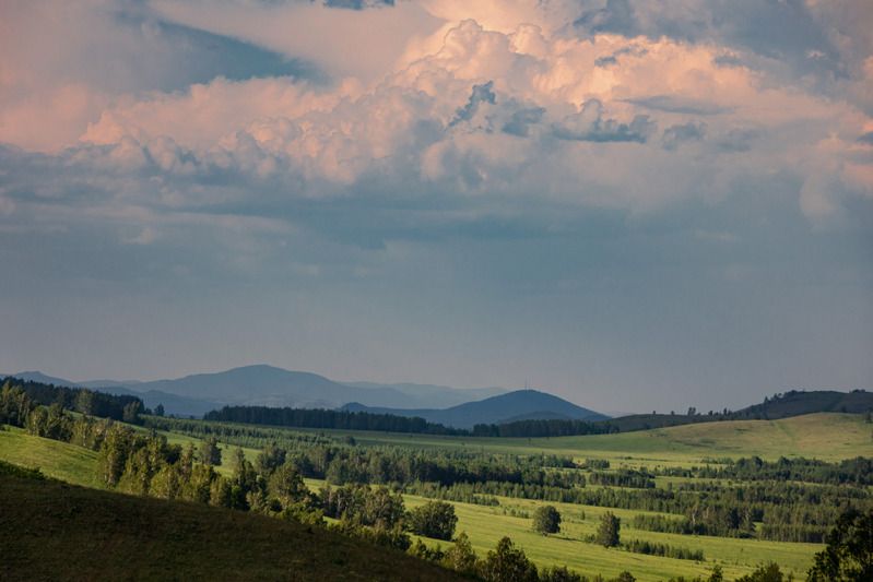 полосы лета фото превью