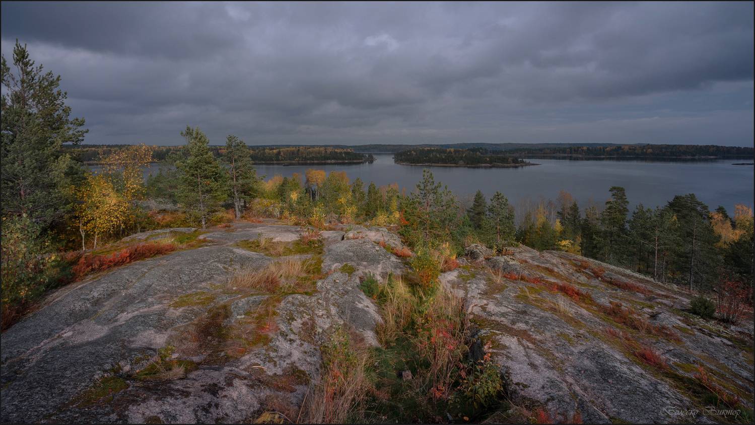 , Болеско Виктор