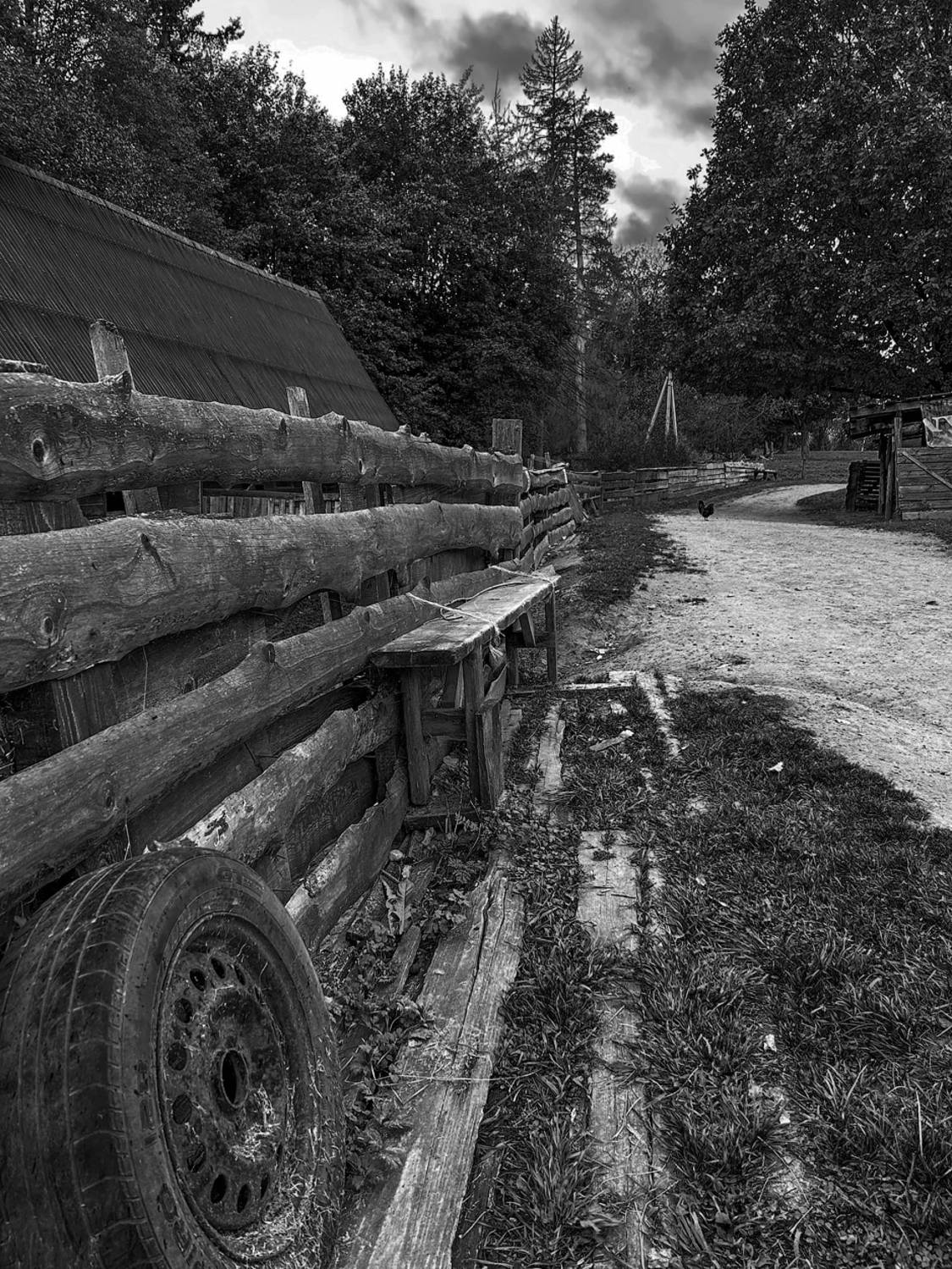 , Новикова Ольга