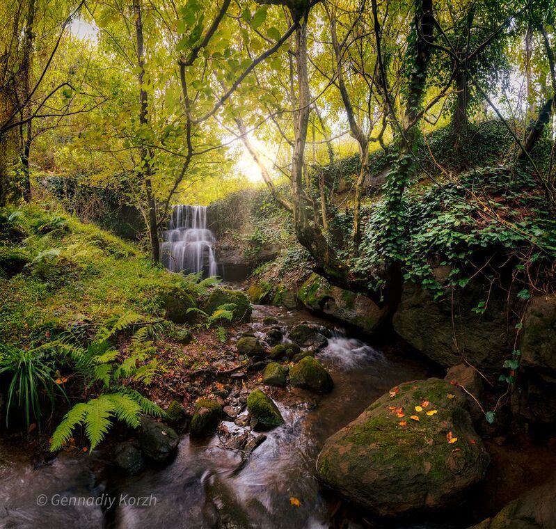 фото превью