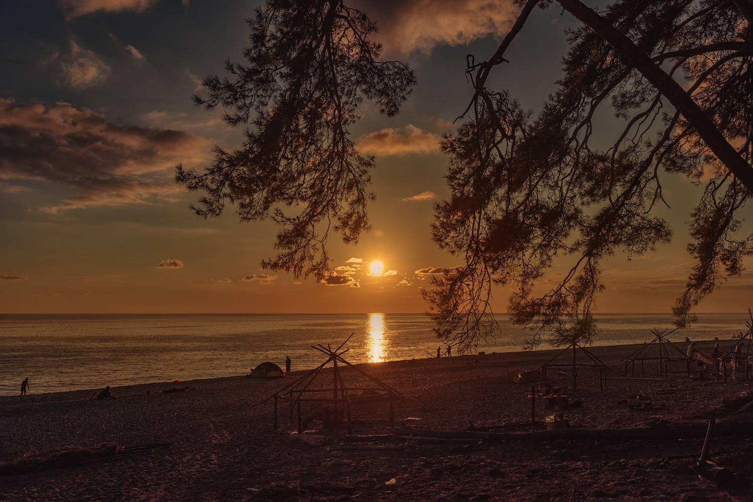 море закат сосна облака пляж,  Мария
