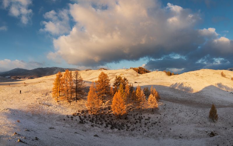 алтай, горный алтай, пейзажи алтая, усть-канский район, горная степь, золотая осень, горы, осенний алтай, лиственницы Рыжее утро фото превью
