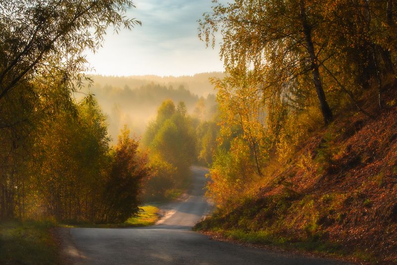 Дорогой осени. фото превью