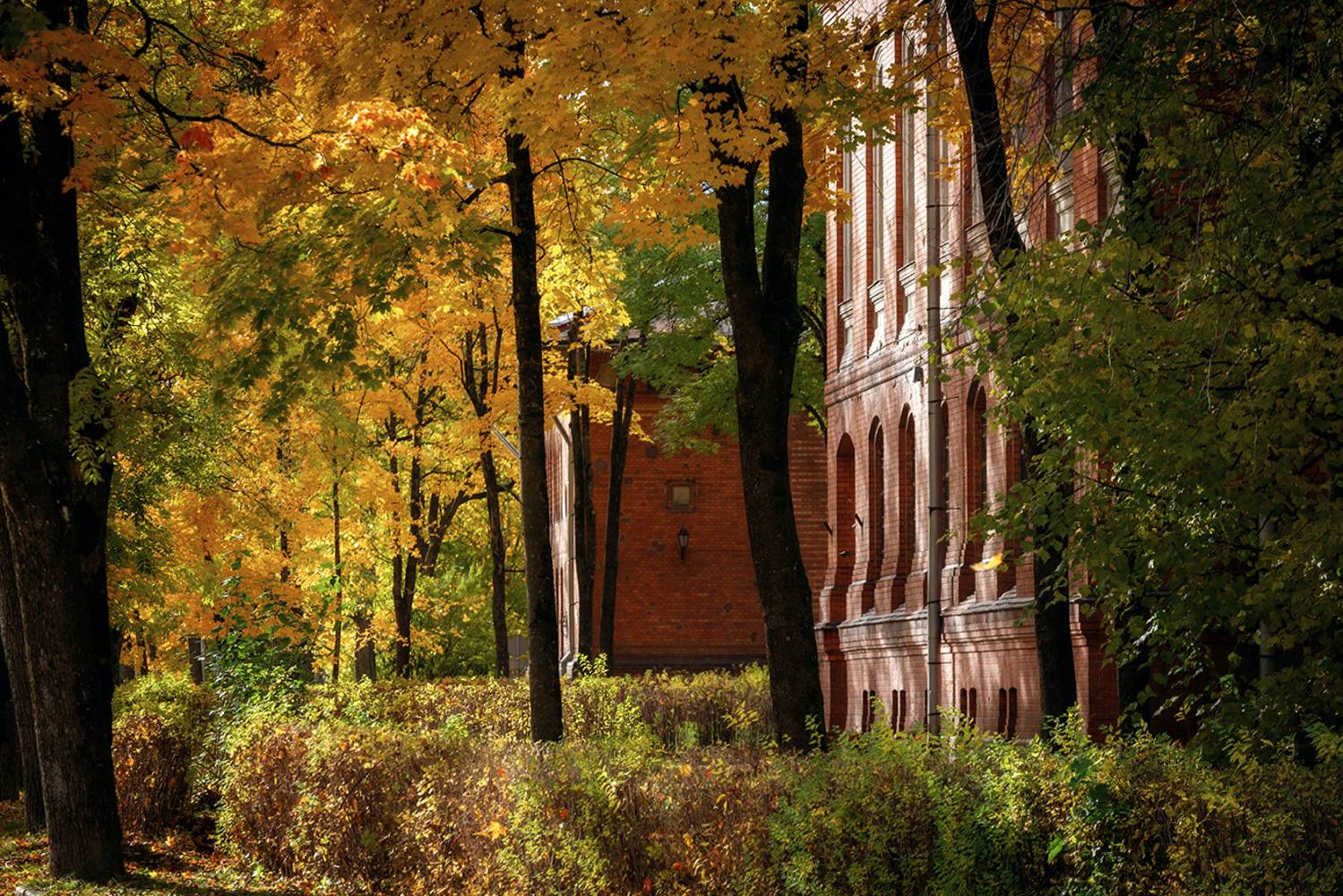 нарва октябрь кренгольм золотая осень, Четвертной Сергей